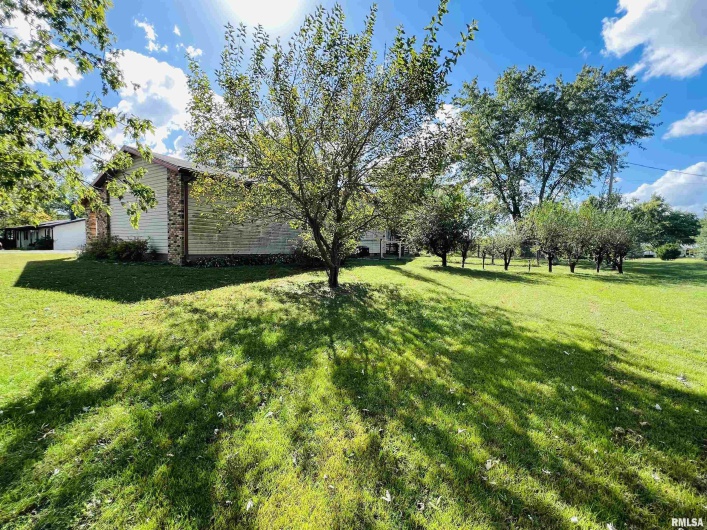 295 Country Acres Road, Eldorado, Illinois 62930-3461, 3 Bedrooms Bedrooms, 0 ,2 BathroomsBathrooms,Residential,For Sale,Country Acres,0,RMAEB460052