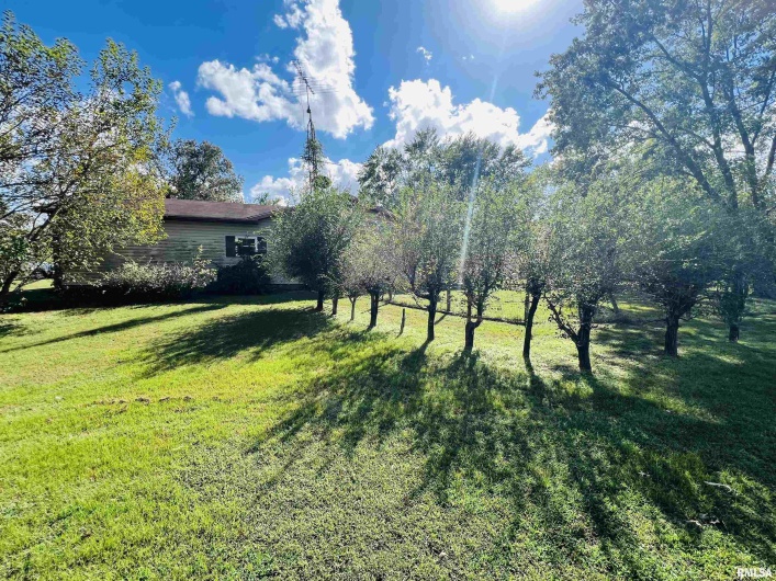 295 Country Acres Road, Eldorado, Illinois 62930-3461, 3 Bedrooms Bedrooms, 0 ,2 BathroomsBathrooms,Residential,For Sale,Country Acres,0,RMAEB460052