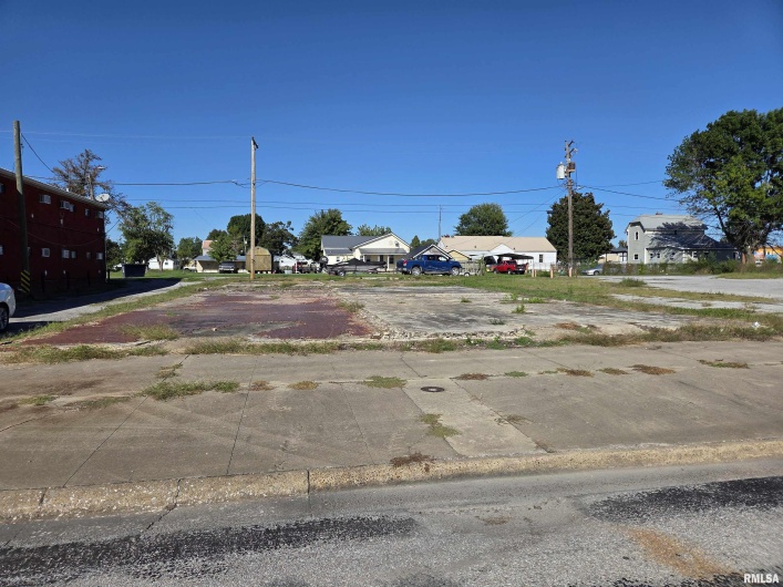141 Shawneetown Avenue, Shawneetown, Illinois 62984, 0 , 0 ,0,Land,For Sale,Shawneetown,0,RMAEB460071