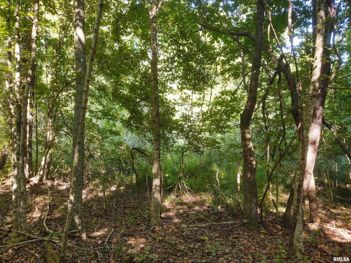3830 Gum Springs Road, Ozark, Illinois 62972, 0 , 0 ,0,Land,For Sale,Gum Springs,0,RMAEB460082