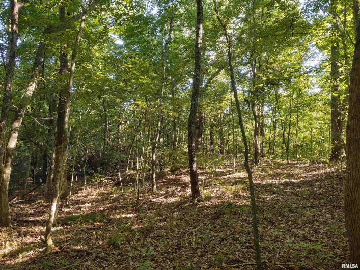 3830 Gum Springs Road, Ozark, Illinois 62972, 0 , 0 ,0,Land,For Sale,Gum Springs,0,RMAEB460082