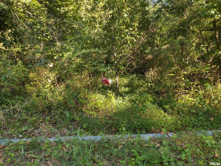 3830 Gum Springs Road, Ozark, Illinois 62972, 0 , 0 ,0,Land,For Sale,Gum Springs,0,RMAEB460082