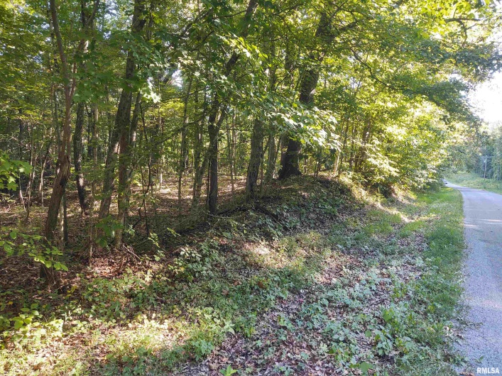 3830 Gum Springs Road, Ozark, Illinois 62972, 0 , 0 ,0,Land,For Sale,Gum Springs,0,RMAEB460082