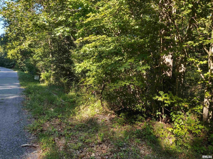 3830 Gum Springs Road, Ozark, Illinois 62972, 0 , 0 ,0,Land,For Sale,Gum Springs,0,RMAEB460082