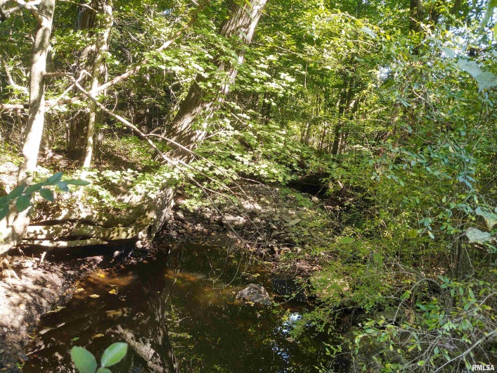 3830 Gum Springs Road, Ozark, Illinois 62972, 0 , 0 ,0,Land,For Sale,Gum Springs,0,RMAEB460082