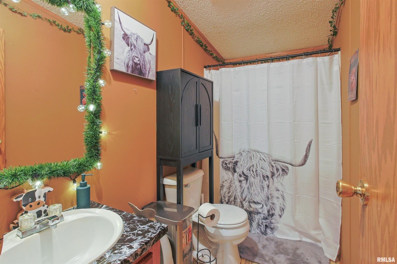 1071 State Highway 145 N Route, Simpson, Illinois 62985, 3 Bedrooms Bedrooms, 0 ,2 BathroomsBathrooms,Residential,For Sale,State Highway 145 N,0,RMAEB460086