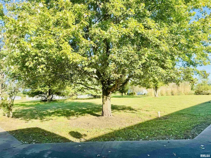 965 Goreville Road, Goreville, Illinois 62939, 0 , 0 ,0,Residential Income,For Sale,Goreville,0,RMAEB460127
