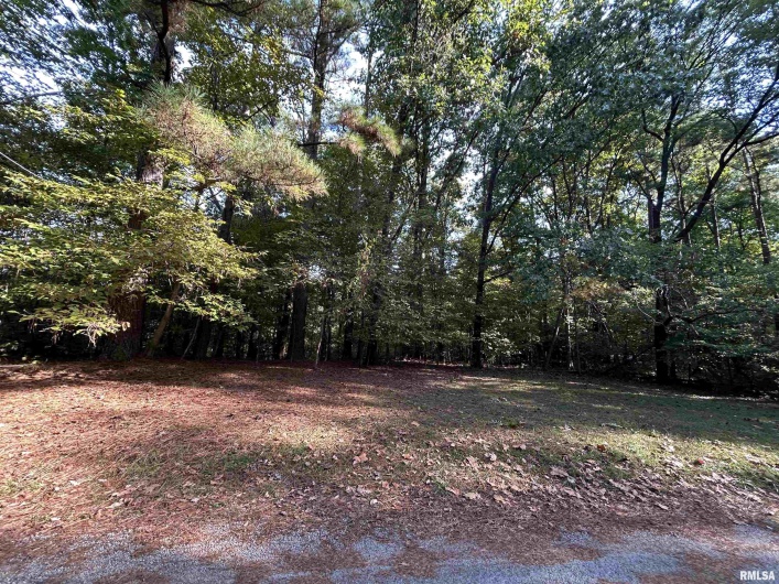 Lot 6 May Apple Lane, Carbondale, Illinois 62903, 0 , 0 ,0,Land,For Sale,May Apple,0,RMAEB460139