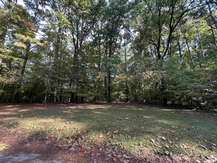 Lot 6 May Apple Lane, Carbondale, Illinois 62903, 0 , 0 ,0,Land,For Sale,May Apple,0,RMAEB460139