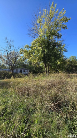 5725 State Route 146 W Route, Jonesboro, Illinois 62952, 0 , 0 ,0,Land,For Sale,State Route 146 W,0,RMAEB460143