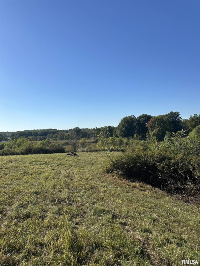 000 Center Church Road, Villa Ridge, Illinois 62996, 0 , 0 ,0,Land,For Sale,Center Church,0,RMAQC4268467