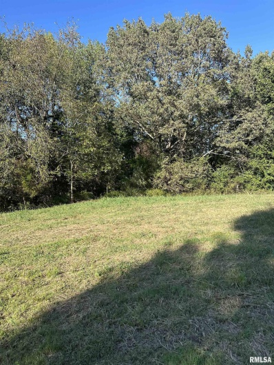 000 Center Church Road, Villa Ridge, Illinois 62996, 0 , 0 ,0,Land,For Sale,Center Church,0,RMAQC4268467