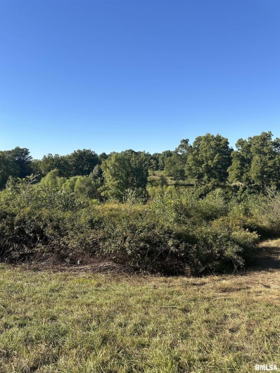 000 Center Church Road, Villa Ridge, Illinois 62996, 0 , 0 ,0,Land,For Sale,Center Church,0,RMAQC4268467