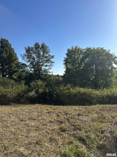 000 Center Church Road, Villa Ridge, Illinois 62996, 0 , 0 ,0,Land,For Sale,Center Church,0,RMAQC4268467