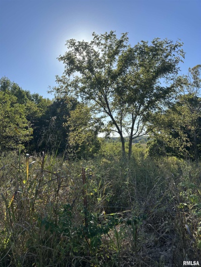 000 Center Church Road, Villa Ridge, Illinois 62996, 0 , 0 ,0,Land,For Sale,Center Church,0,RMAQC4268467