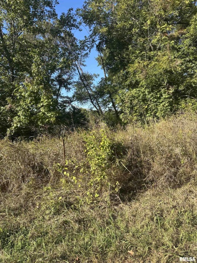 000 Center Church Road, Villa Ridge, Illinois 62996, 0 , 0 ,0,Land,For Sale,Center Church,0,RMAQC4268467