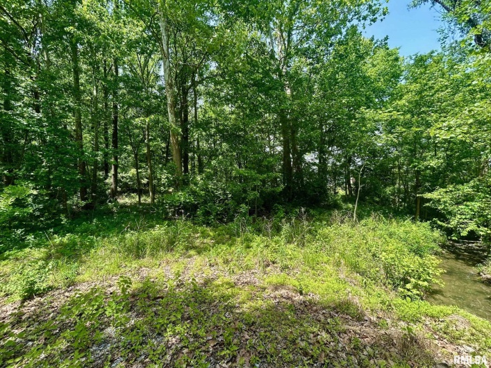 0000 Highway 51 Highway, Carbondale, Illinois 62901, 0 , 0 ,0,Land,For Sale,Highway 51,0,RMAEB457964