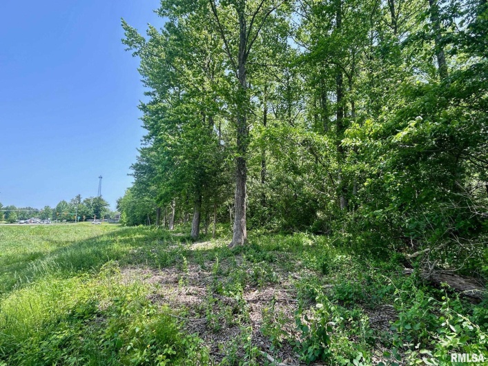 0000 Highway 51 Highway, Carbondale, Illinois 62901, 0 , 0 ,0,Land,For Sale,Highway 51,0,RMAEB457964