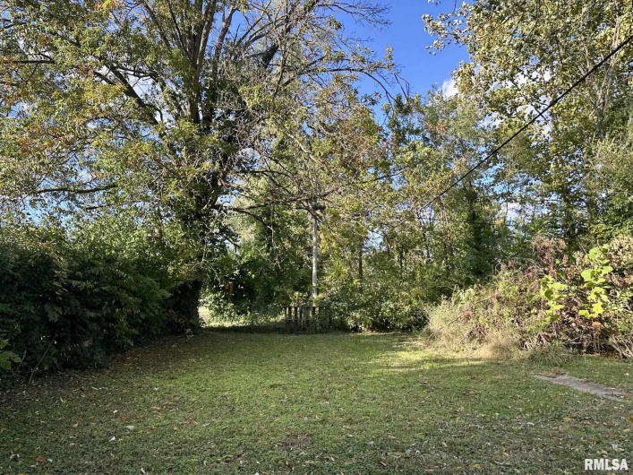 802 9TH Street, Johnston City, Illinois 62951, 2 Bedrooms Bedrooms, 0 ,1 BathroomBathrooms,Residential,For Sale,9TH,0,RMAQC4268524