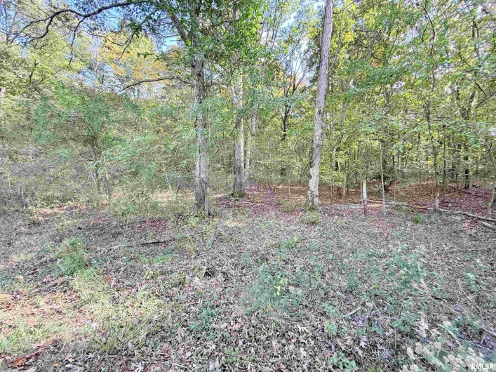 8375 Highway 145 S, Harrisburg, Illinois 62946-5521, 3 Bedrooms Bedrooms, 0 ,2 BathroomsBathrooms,Residential,For Sale,Highway 145 S,0,RMAEB460176