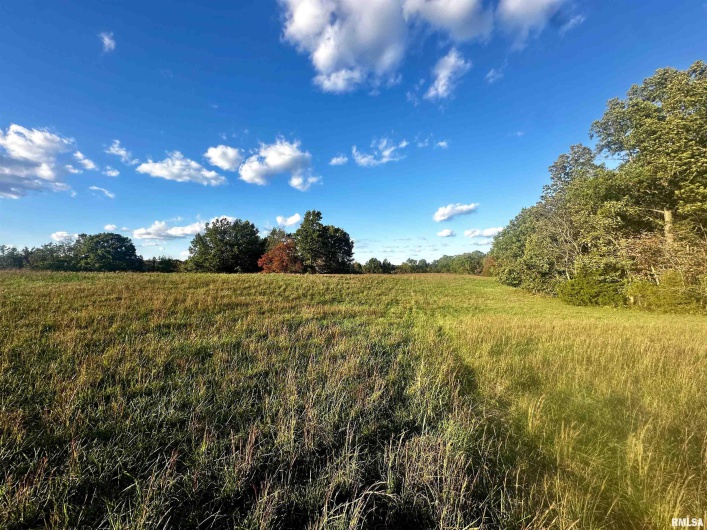 000 Galatia Road, Galatia, Illinois 62935, 0 , 0 ,0,Land,For Sale,Galatia,0,RMAQC4268551