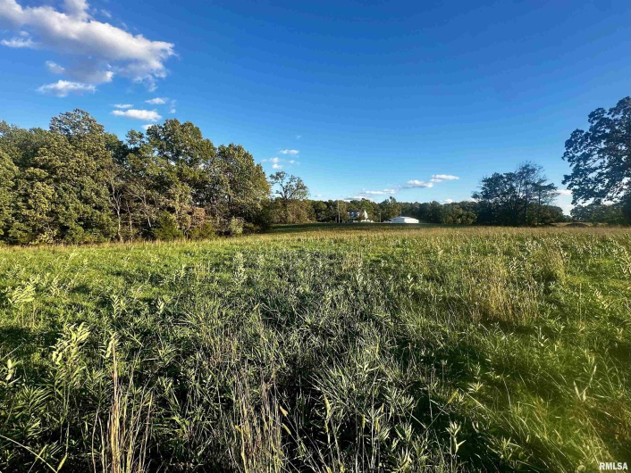 000 Galatia Road, Galatia, Illinois 62935, 0 , 0 ,0,Land,For Sale,Galatia,0,RMAQC4268551
