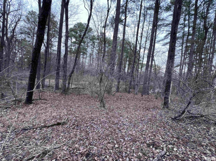 449 PINE Lane, Murphysboro, Illinois 62966, 0 , 0 ,0,Land,For Sale,PINE,0,RMAEB456710