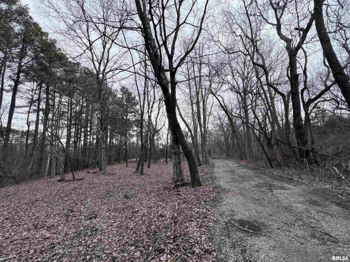 449 PINE Lane, Murphysboro, Illinois 62966, 0 , 0 ,0,Land,For Sale,PINE,0,RMAEB456710