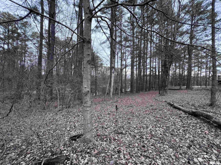 449 PINE Lane, Murphysboro, Illinois 62966, 0 , 0 ,0,Land,For Sale,PINE,0,RMAEB456710