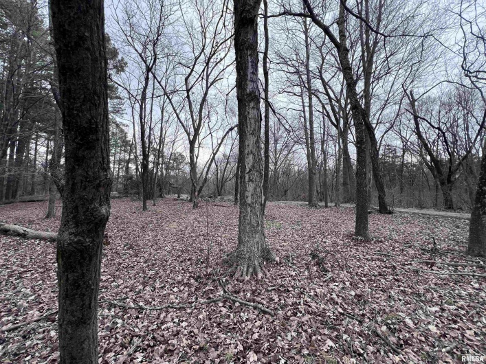 449 PINE Lane, Murphysboro, Illinois 62966, 0 , 0 ,0,Land,For Sale,PINE,0,RMAEB456710