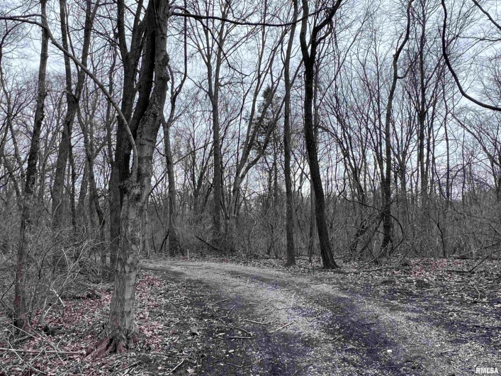449 PINE Lane, Murphysboro, Illinois 62966, 0 , 0 ,0,Land,For Sale,PINE,0,RMAEB456710