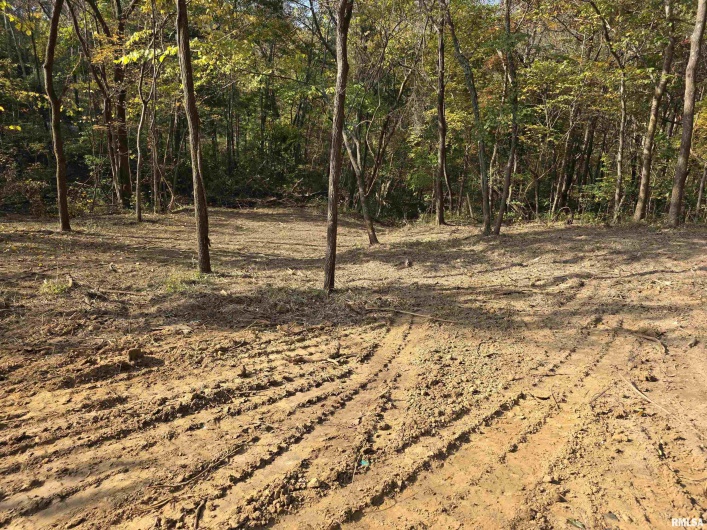 255 Yellow Springs Road, Elizabethtown, Illinois 62931, 0 , 0 ,0,Land,For Sale,Yellow Springs,0,RMAQC4268615