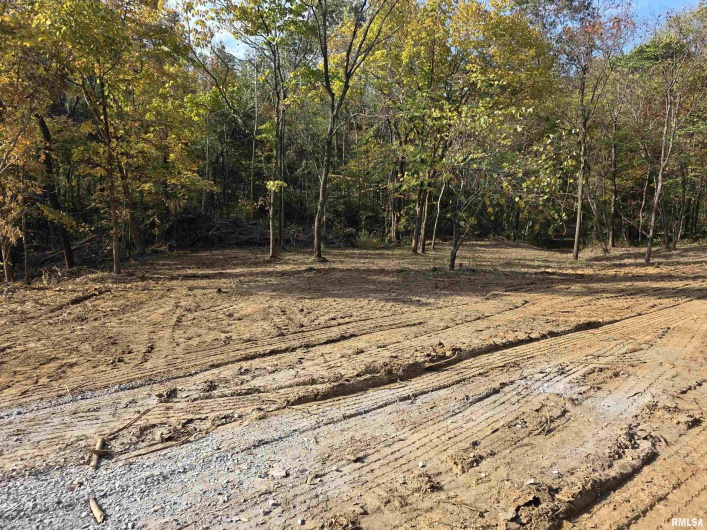 255 Yellow Springs Road, Elizabethtown, Illinois 62931, 0 , 0 ,0,Land,For Sale,Yellow Springs,0,RMAQC4268615
