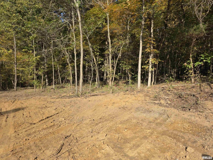 255 Yellow Springs Road, Elizabethtown, Illinois 62931, 0 , 0 ,0,Land,For Sale,Yellow Springs,0,RMAQC4268615