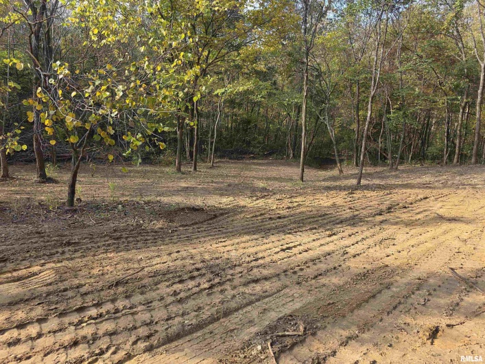 255 Yellow Springs Road, Elizabethtown, Illinois 62931, 0 , 0 ,0,Land,For Sale,Yellow Springs,0,RMAQC4268615