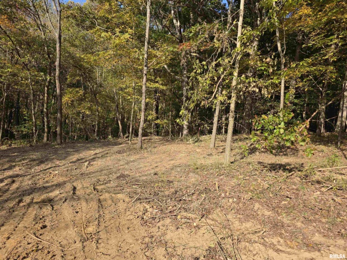 255 Yellow Springs Road, Elizabethtown, Illinois 62931, 0 , 0 ,0,Land,For Sale,Yellow Springs,0,RMAQC4268615