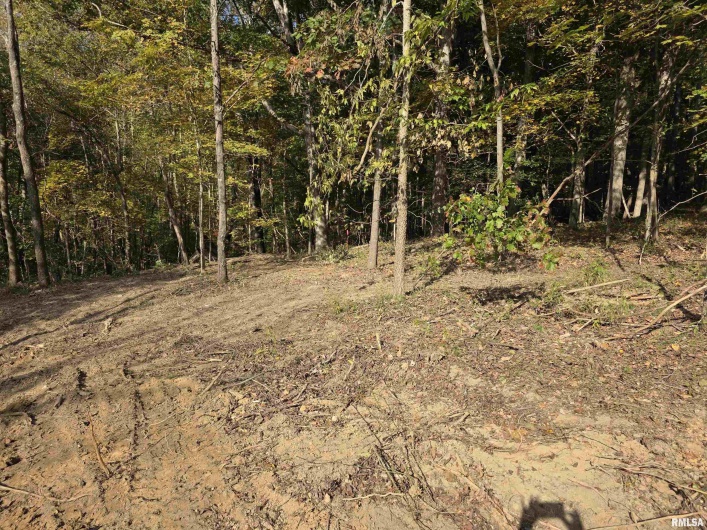 255 Yellow Springs Road, Elizabethtown, Illinois 62931, 0 , 0 ,0,Land,For Sale,Yellow Springs,0,RMAQC4268615