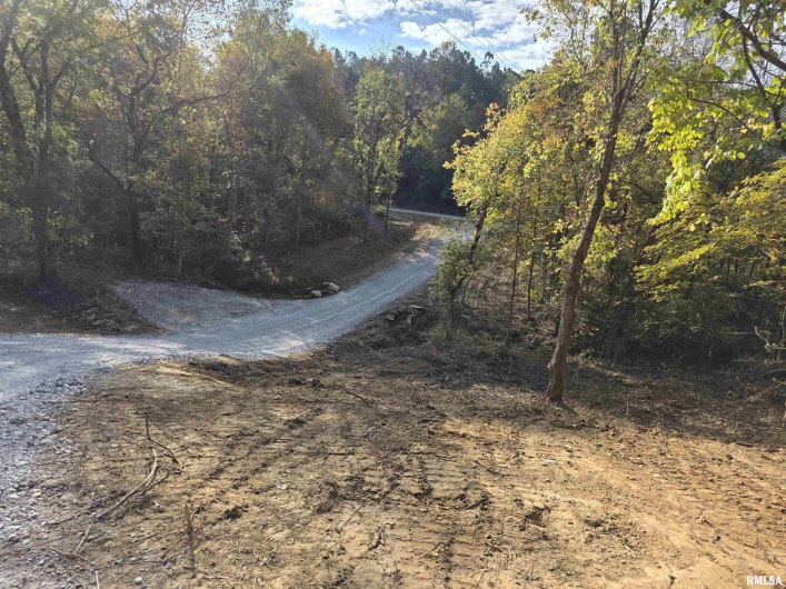 255 Yellow Springs Road, Elizabethtown, Illinois 62931, 0 , 0 ,0,Land,For Sale,Yellow Springs,0,RMAQC4268615