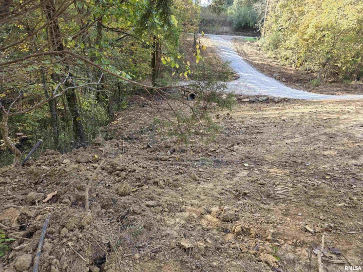 255 Yellow Springs Road, Elizabethtown, Illinois 62931, 0 , 0 ,0,Land,For Sale,Yellow Springs,0,RMAQC4268615