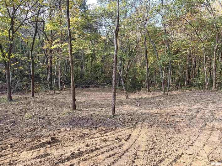 255 Yellow Springs Road, Elizabethtown, Illinois 62931, 0 , 0 ,0,Land,For Sale,Yellow Springs,0,RMAQC4268615