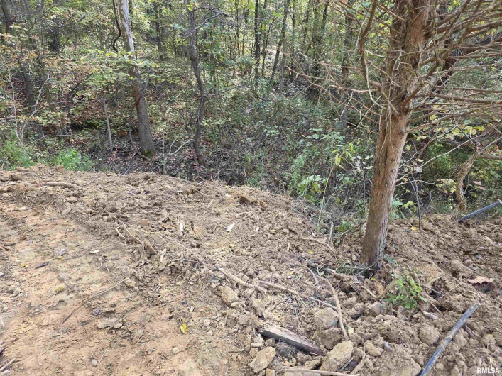 255 Yellow Springs Road, Elizabethtown, Illinois 62931, 0 , 0 ,0,Land,For Sale,Yellow Springs,0,RMAQC4268615