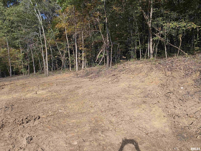 255 Yellow Springs Road, Elizabethtown, Illinois 62931, 0 , 0 ,0,Land,For Sale,Yellow Springs,0,RMAQC4268615