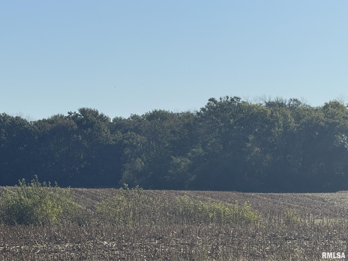 000 Elba Road, Eldorado, Illinois 62930, 0 , 0 ,0,Land,For Sale,Elba,0,RMAEB460225
