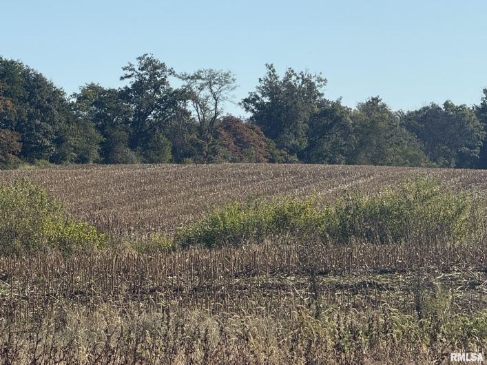000 Elba Road, Eldorado, Illinois 62930, 0 , 0 ,0,Land,For Sale,Elba,0,RMAEB460225