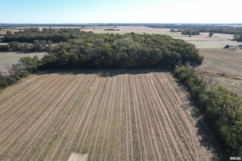 000 Elba Road, Eldorado, Illinois 62930, 0 , 0 ,0,Land,For Sale,Elba,0,RMAEB460225