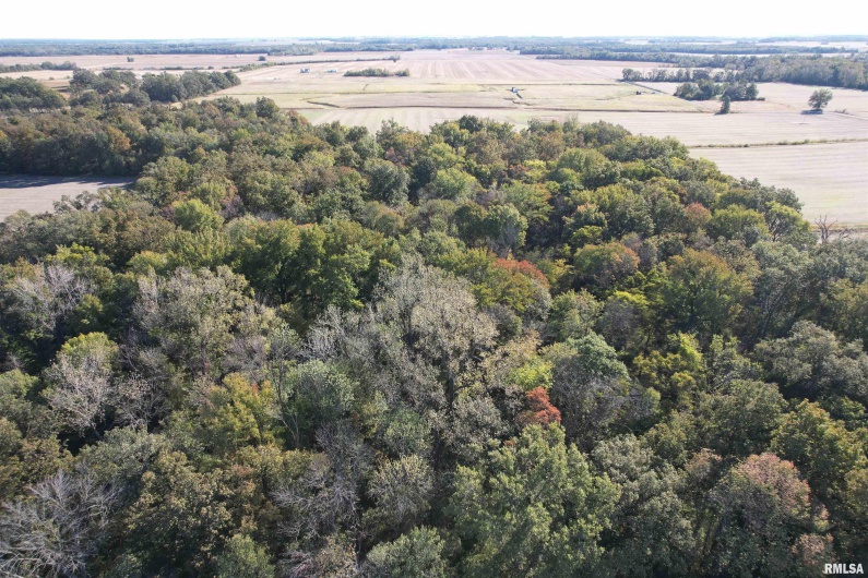 000 Elba Road, Eldorado, Illinois 62930, 0 , 0 ,0,Land,For Sale,Elba,0,RMAEB460225