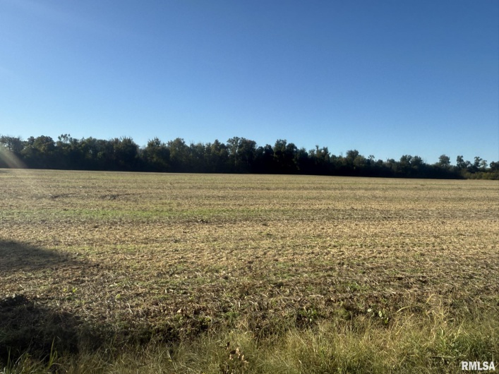 000 Elba Road, Eldorado, Illinois 62930, 0 , 0 ,0,Land,For Sale,Elba,0,RMAEB460225