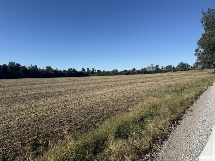 000 Elba Road, Eldorado, Illinois 62930, 0 , 0 ,0,Land,For Sale,Elba,0,RMAEB460225