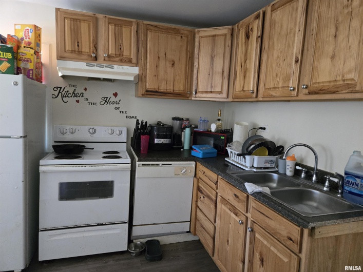 408 SPRINGER Street, Carbondale, Illinois 62901, 0 , 0 ,0,Residential Income,For Sale,SPRINGER,0,RMAEB460226