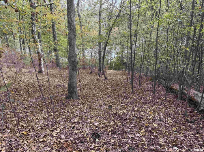 000 Clifty Lane, Goreville, Illinois 62939, 0 , 0 ,0,Land,For Sale,Clifty,0,RMAEB460233